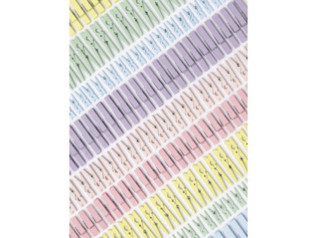 folia Mélange de pinces en bois PASTEL Jumbobox, 500 g