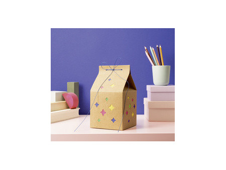 folia Kit de lanterne MILKY WAY