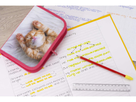 EBERHARD FABER Étui scolaire Chaton, 42 pièces