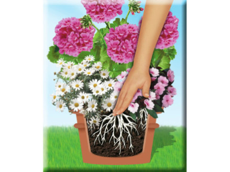 COMPO SANA Terreau de rempotage de qualité pour fleurs, 20 l
