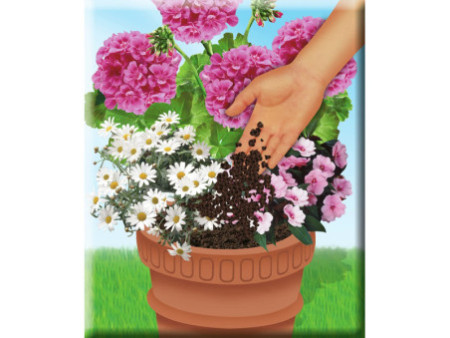 COMPO SANA Terreau de rempotage de qualité pour fleurs, 20 l