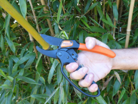 Garten PRIMUS Sécateur à crémaillère, fermeture à une main