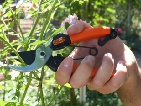 Garten PRIMUS Sécateur de jardin pour dames, longueur: 178mm