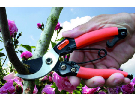Garten PRIMUS Sécateur de jardin pour dames, longueur: 178mm