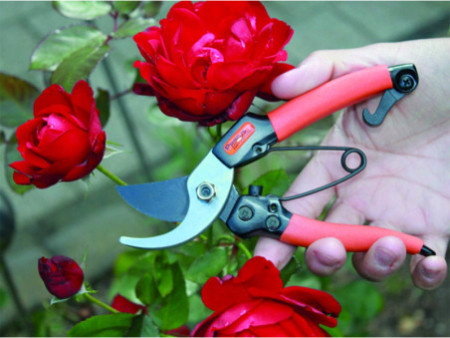 Garten PRIMUS Sécateur de jardin pour dames, longueur: 178mm