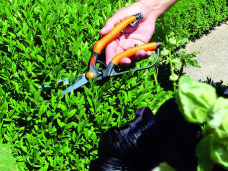 Garten PRIMUS Cisaille à buis, petit, longueur : 260 mm