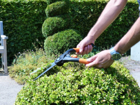 Garten PRIMUS Cisaille à buis, grand, longueur: 435 mm