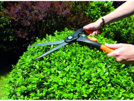 Garten PRIMUS Cisaille à buis, grand, longueur: 435 mm