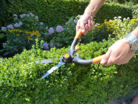 Garten PRIMUS Cisaille à buis, grand, longueur: 435 mm