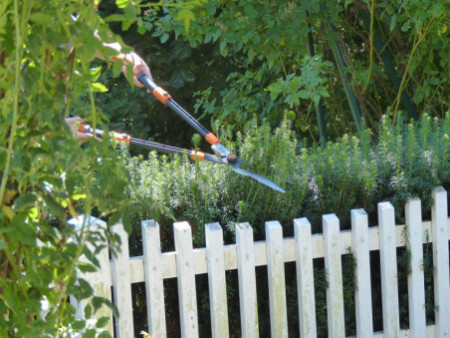 Garten PRIMUS Cisaille à haies multifonctionnelle 3 en 1