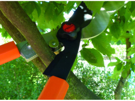 Garten PRIMUS Cisaille à haies multifonctionnelle 3 en 1