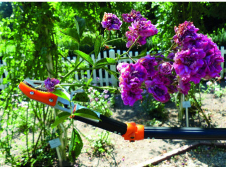 Garten PRIMUS Coupe-branches 'Chevalier à la rose'