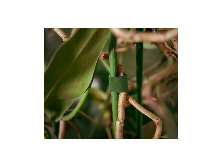 Bradas Ruban auto-agrippant, 19 mm x 5 m, vert