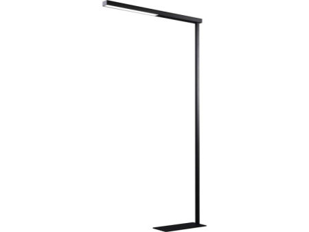 Hansa Lampadaire à LED Beryll, hauteur: 1.800 mm, noir