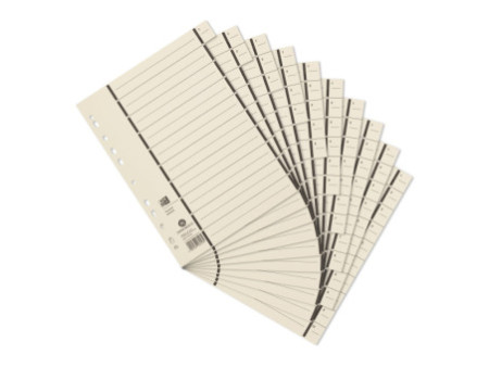 ELBA Intercalaires avec perforation, format A4 extra large