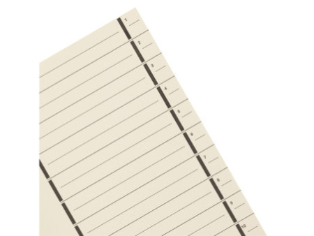 ELBA Intercalaires avec perforation, format A4 extra large