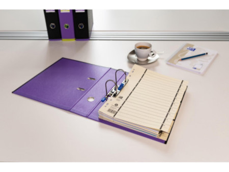 ELBA Intercalaires avec perforation, format A4 extra large