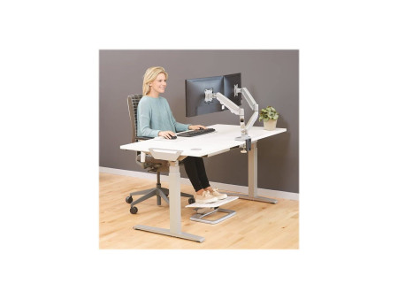 Fellowes Bras porte-écrans double Eppa, argenté