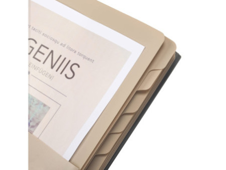 Oxford for Business Trieur, A4, compartiment 1-12, gris