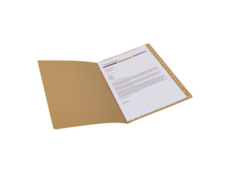 ELBA Chemise pour dossiers suspendus, avec impression
