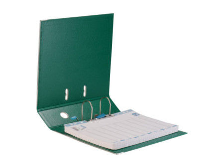 ELBA Classeur rado plast, largeur de dos: 80 mm, A4, vert