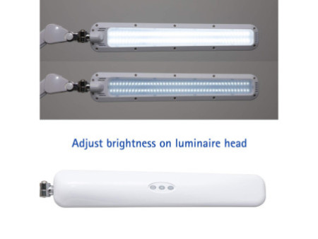 MAUL Lampe de bureau à LED MAULcraft, pince, dimmable