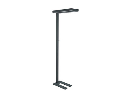 MAUL Lampadaire à LED MAULjaval, dimmable, noir