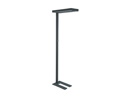 MAUL Lampadaire à LED MAULjuvis, dimmable, socle, noir