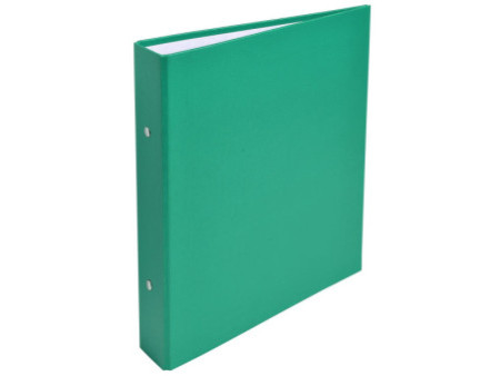 PAGNA classeur à anneaux 'Basic Colours', vert, format A5,