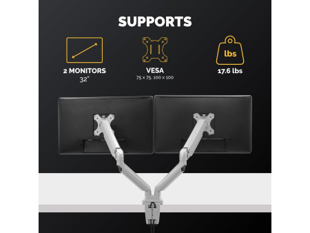 Fellowes Bras porte-écrans double Platinum Series, argent