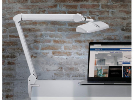 MAUL Lampe de bureau à LED MAULintro, dimmable, pince, blanc
