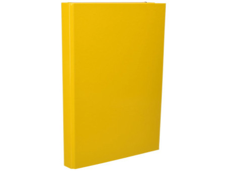 PAGNA chemise à élastiques 'Basic Colours', format A4, jaune