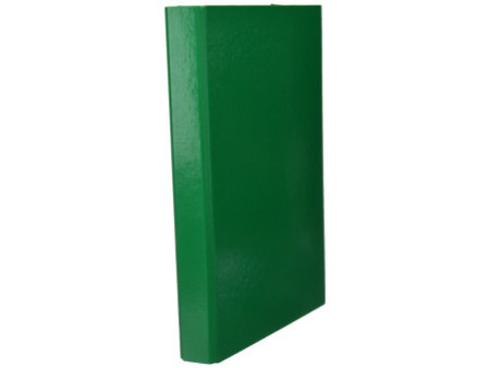 PAGNA chemise à élastiques 'Basic Colours', format A4, vert
