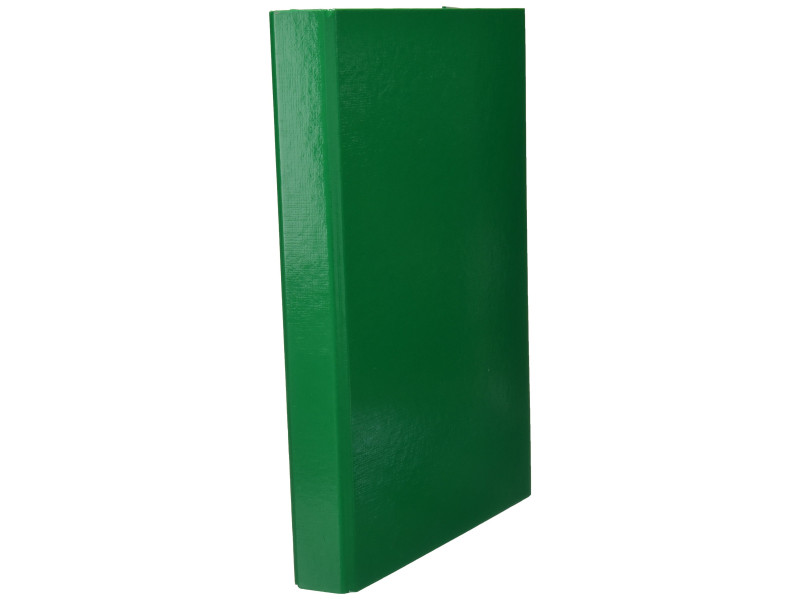 PAGNA chemise à élastiques 'Basic Colours', format A4, vert