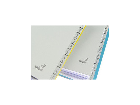 kangaro Intercalaire carton ECO, mois, A4, 12 pièces