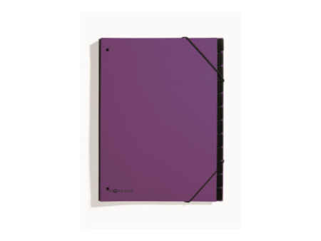 PAGNA Trieur Trend, A4, 12 compartiments, violet