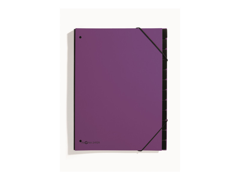 PAGNA Trieur Trend, A4, 12 compartiments, violet