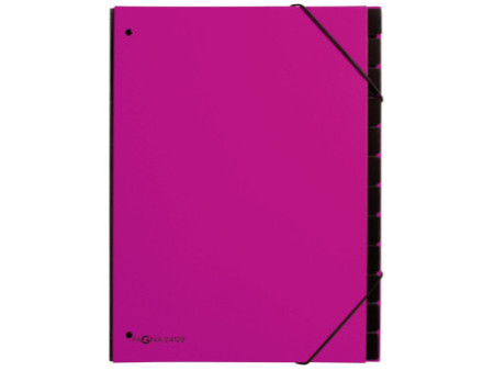 PAGNA Trieur Trend, A4, 12 compartiments, rose foncé