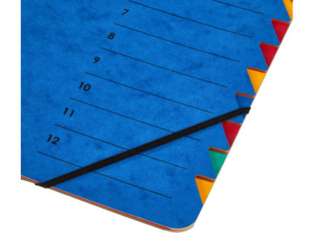 PAGNA trieur 'EASY', A4, carton, 12 compartients, bleu