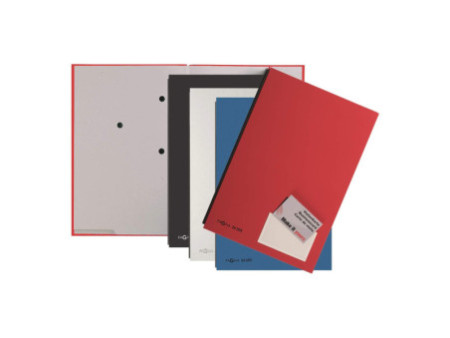 PAGNA parapheur Color, format A4, 20 compartiments, argent