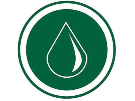 trodat Cassette d'encre de rechange 6/58,double paquet, vert