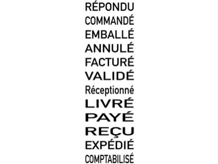 trodat Tampon dateur multiformules 5117 4.0