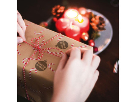 COLOP Kit tampon à motif 'LITTLE NIO' Noël, gris