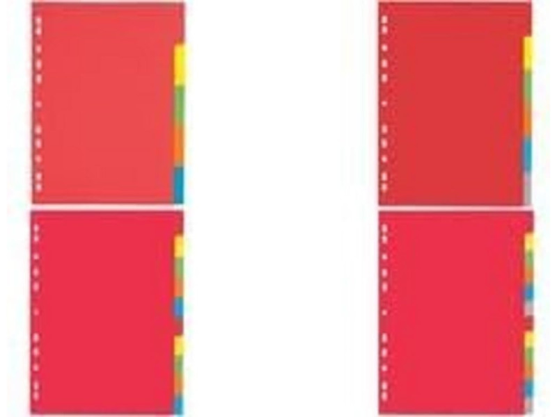 PAGNA Intercalaires en carton, A4, 12 touches, 6 couleurs
