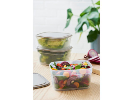 smartstore Boîte de conservation, 1,0 L, gris / transparent