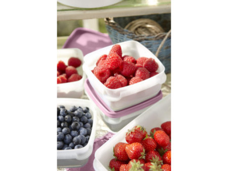 GastroMax Boîte de congélation, 0,75 litre, set de 4