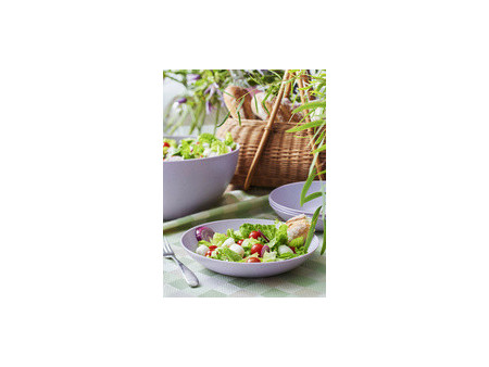 GastroMax Saladier BIO, 3,5 litres, lavande