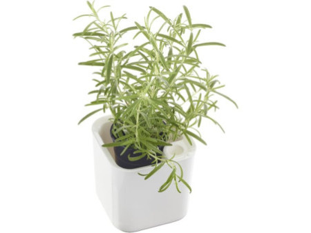 orthex Pot à herbes aromatiques EDEN, largeur: 120 mm, blanc