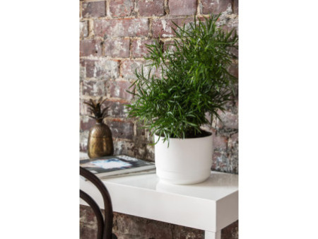 orthex Pot de fleurs PAULINA, diamètre: 300 mm, blanc