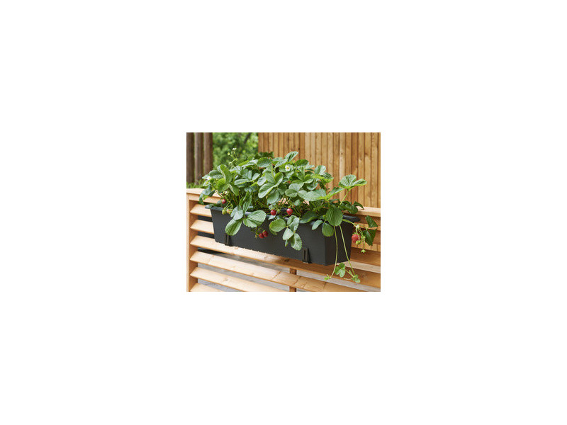 orthex Support de jardinière, charge max.: 30 kg, galvanisé